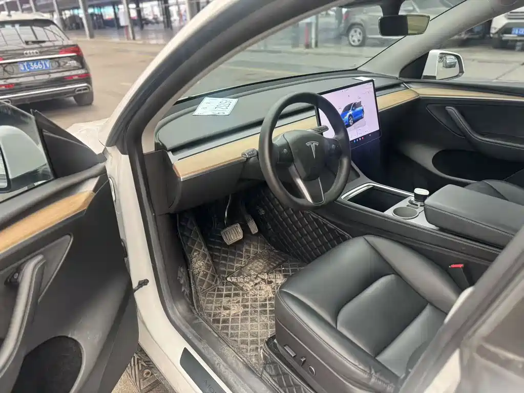 Tesla Model Y — миниатюра 6