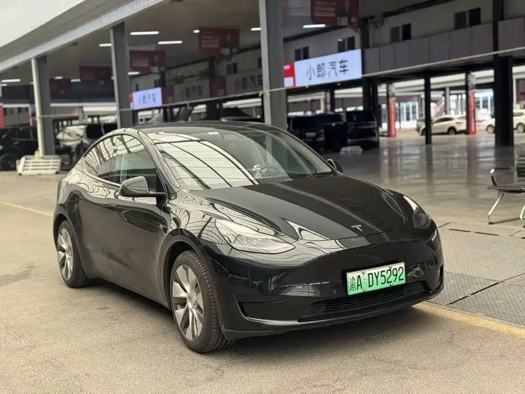Tesla Model Y — миниатюра 3