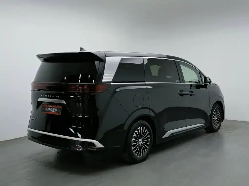 Denza Denza D9 — миниатюра 2