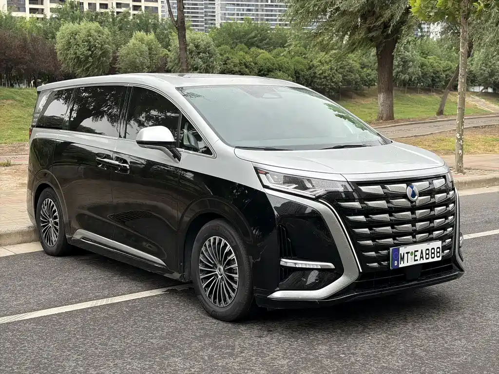 Denza Denza D9 — миниатюра 2