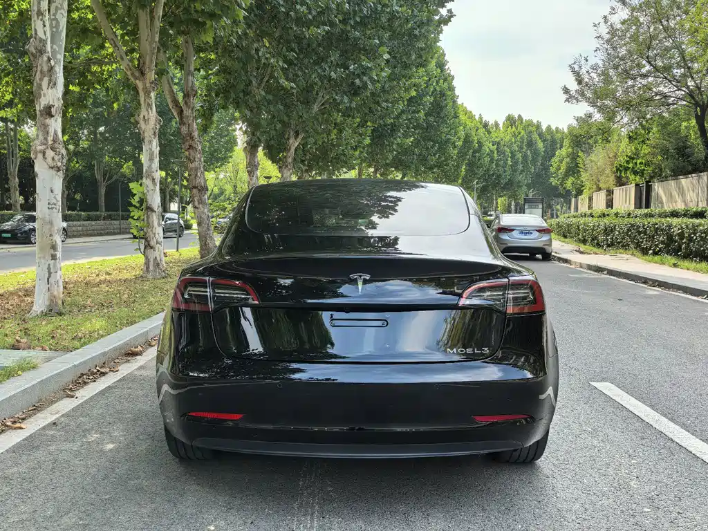 Tesla Model 3 — миниатюра 8
