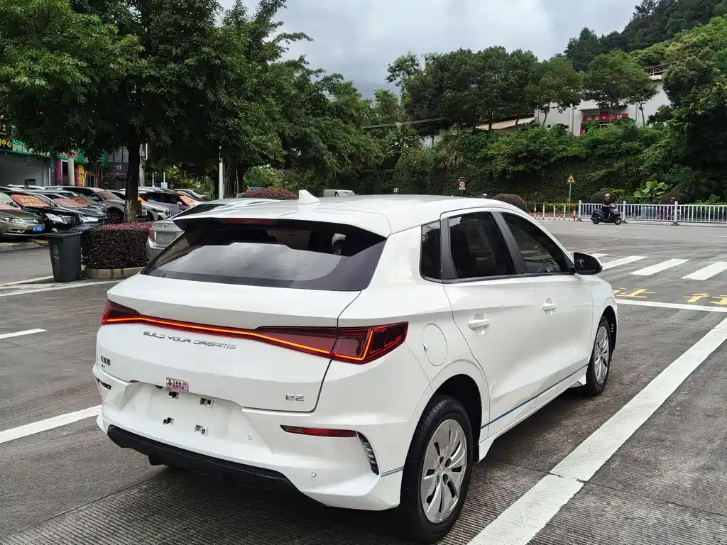 BYD E2