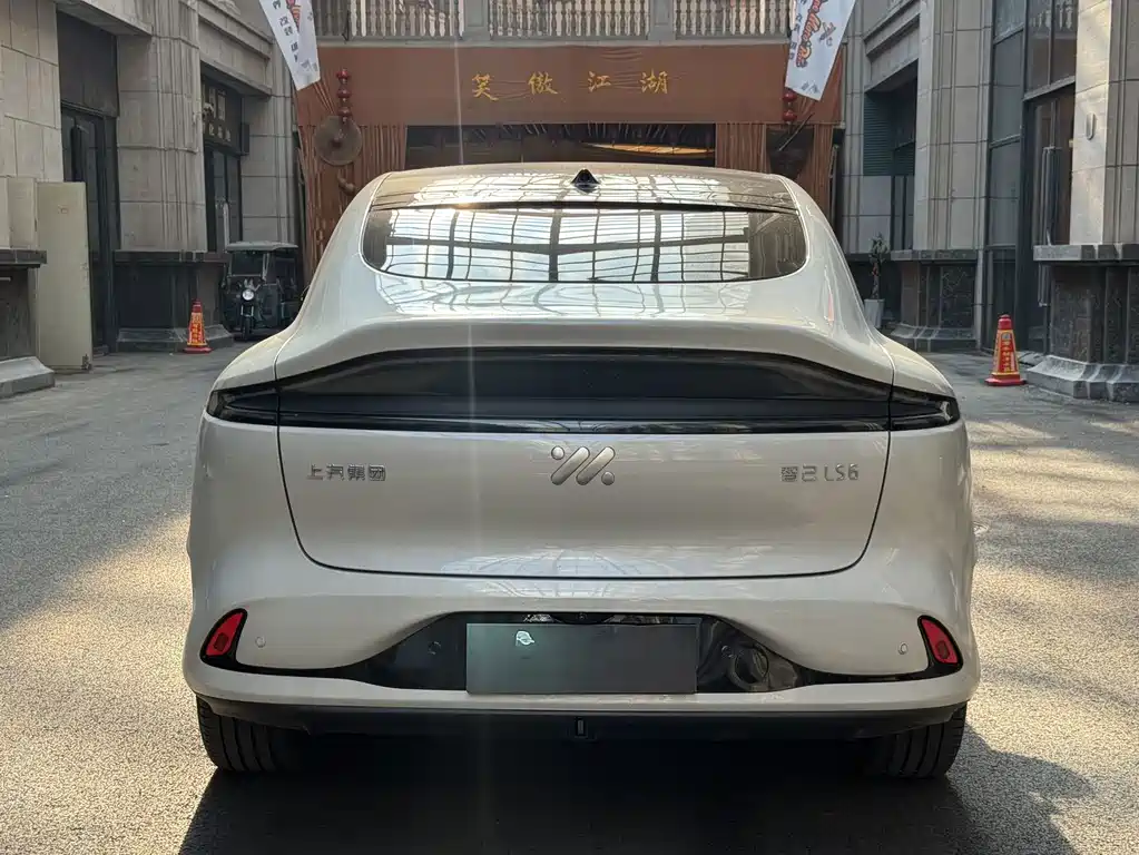 IM IM LS6 — миниатюра 11