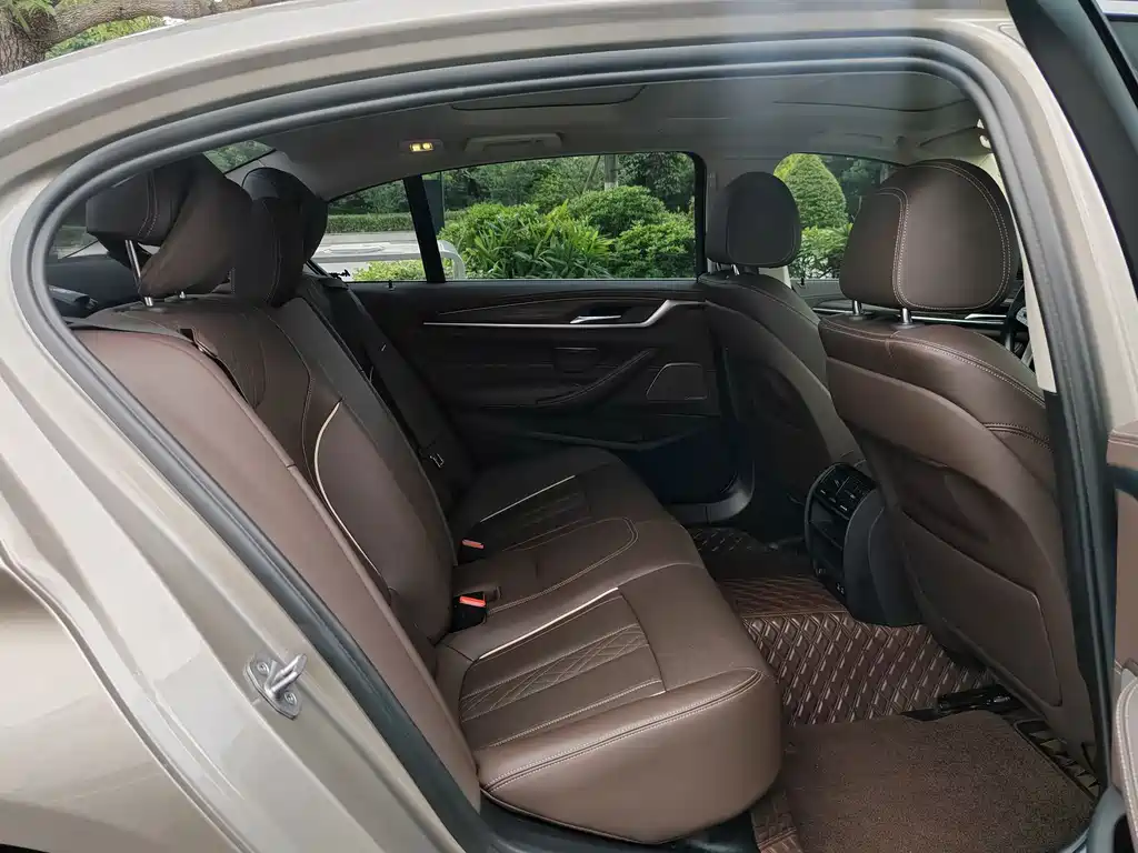 BMW 5 Series 5 2022 530Li Lead Luxury