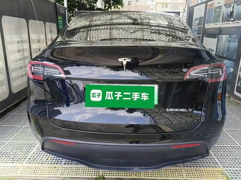 Tesla Model Y — миниатюра 6