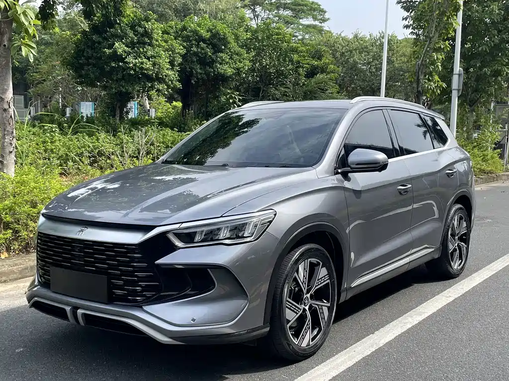 BYD Pro New Energy