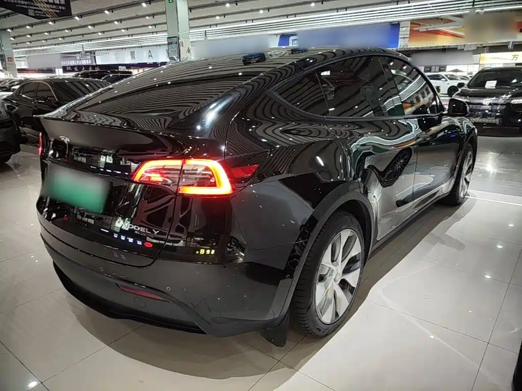 Tesla Model Y — миниатюра 7