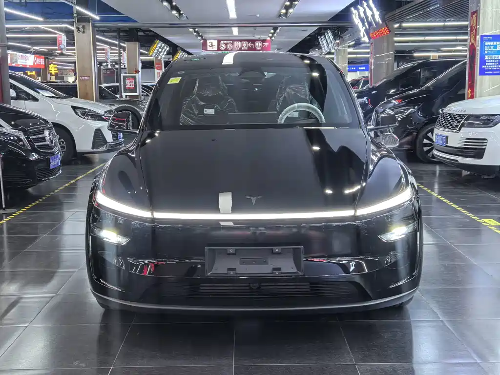 Tesla Model Y L — миниатюра 2