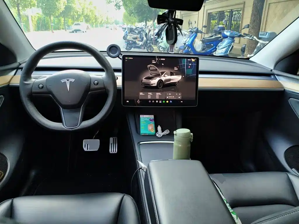 Tesla Model Y — миниатюра 10