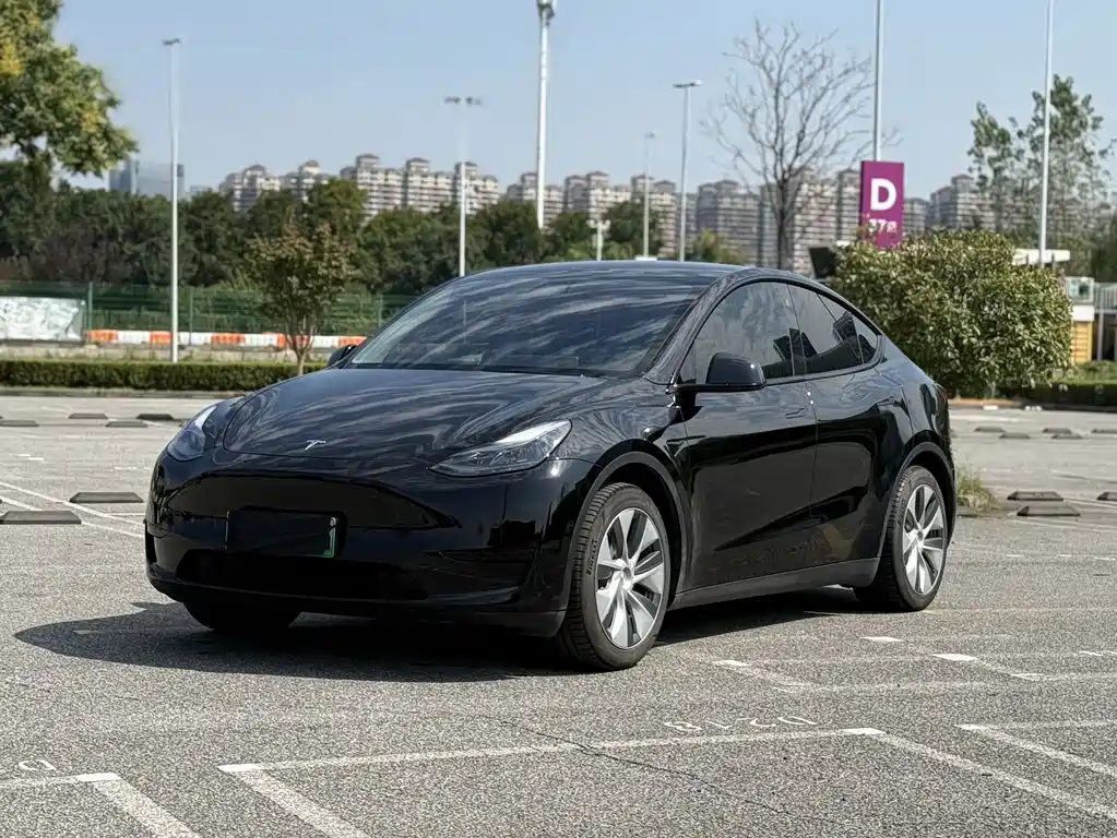 Tesla Model Y — миниатюра 2