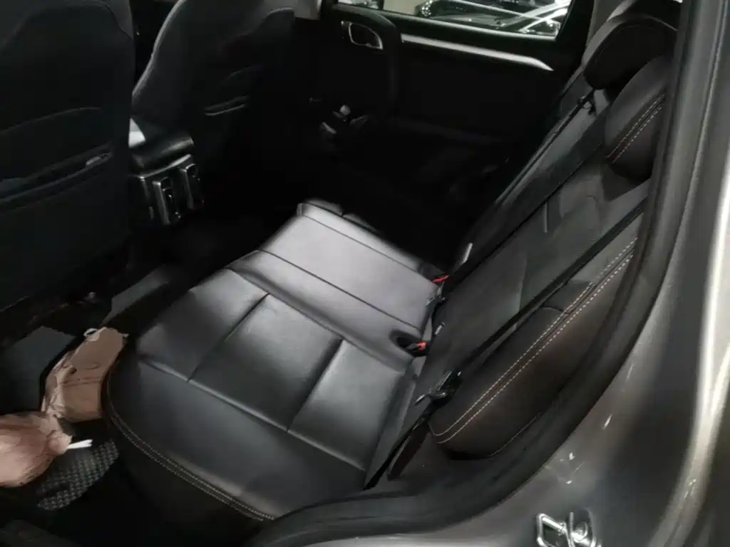 Haval 长城大狗 — миниатюра 17