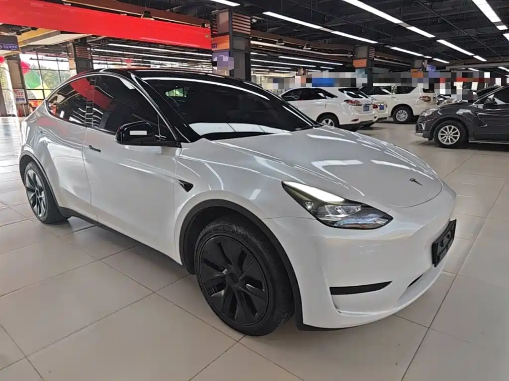 Tesla Model Y — миниатюра 4
