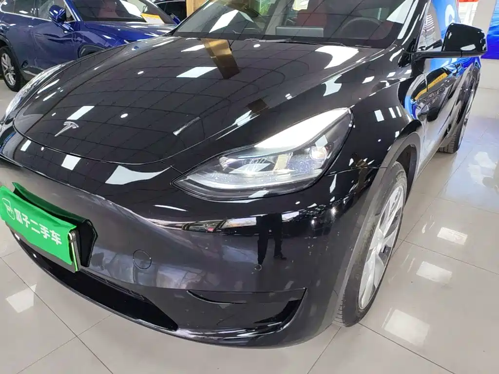 Tesla Model Y — миниатюра 24