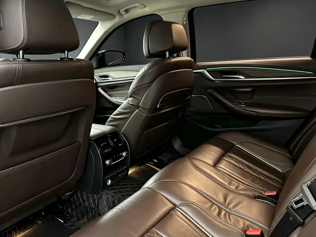 BMW 5 Series 5 2020 530Li Premium Luxury