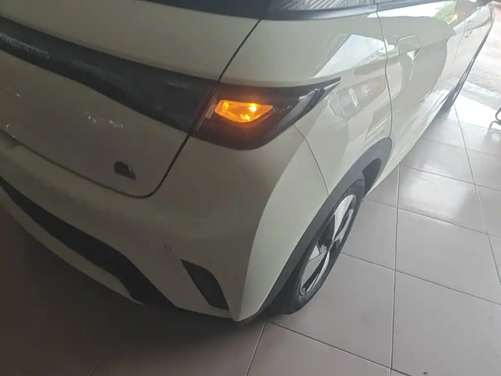 BYD Dolphin — миниатюра 8