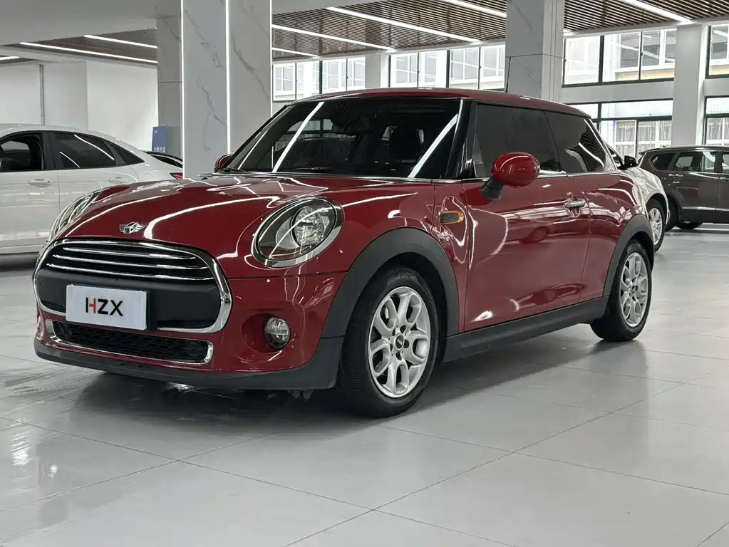 Mini Mini 2015