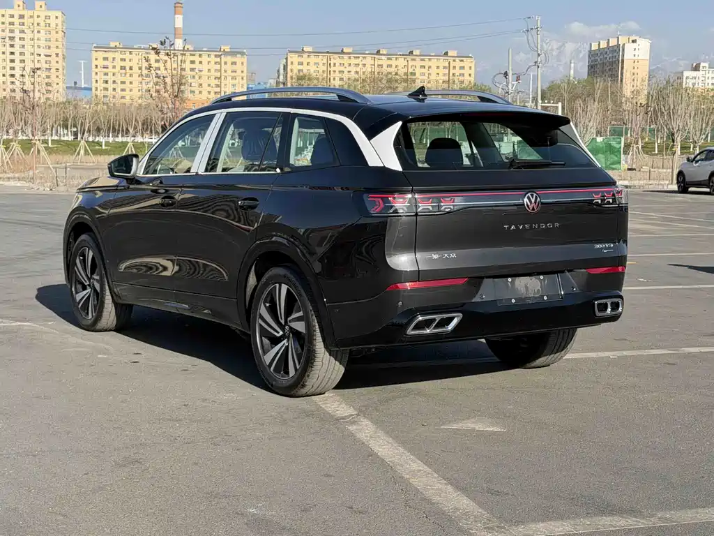 Volkswagen Tavendor 380TSI 4WD R-Line Cruising Joy for All Model, фото 8