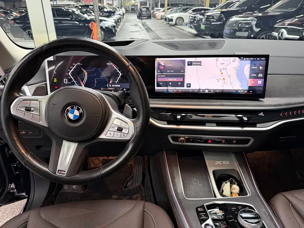 BMW X5 — миниатюра 16