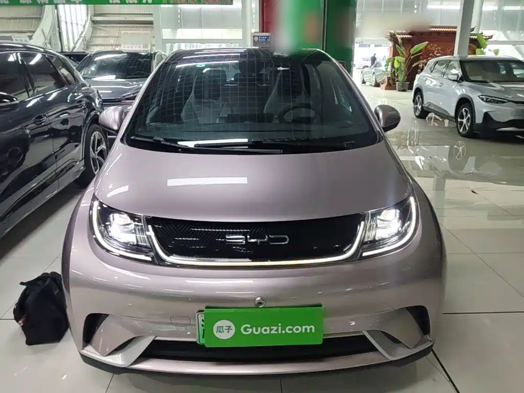 BYD Dolphin — миниатюра 3