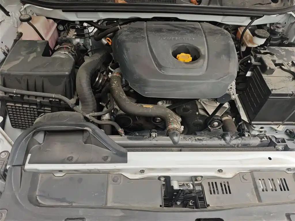 Isuzu Lingtuo — миниатюра 11