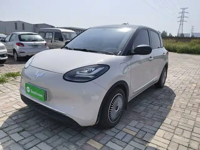 2025 Wuling Motors Binguo