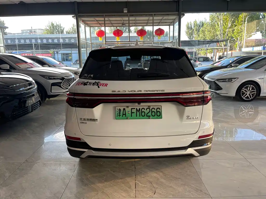 BYD Pro New Energy — миниатюра 8