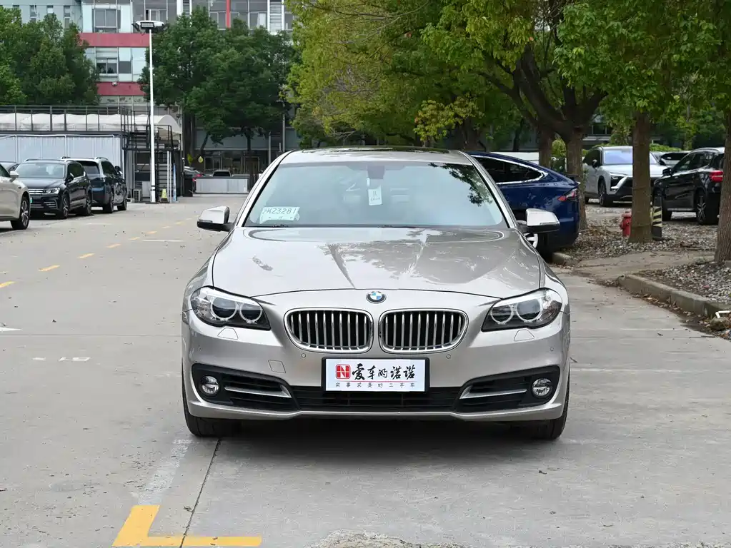 BMW 5 Series 5 2014 535Li Lead