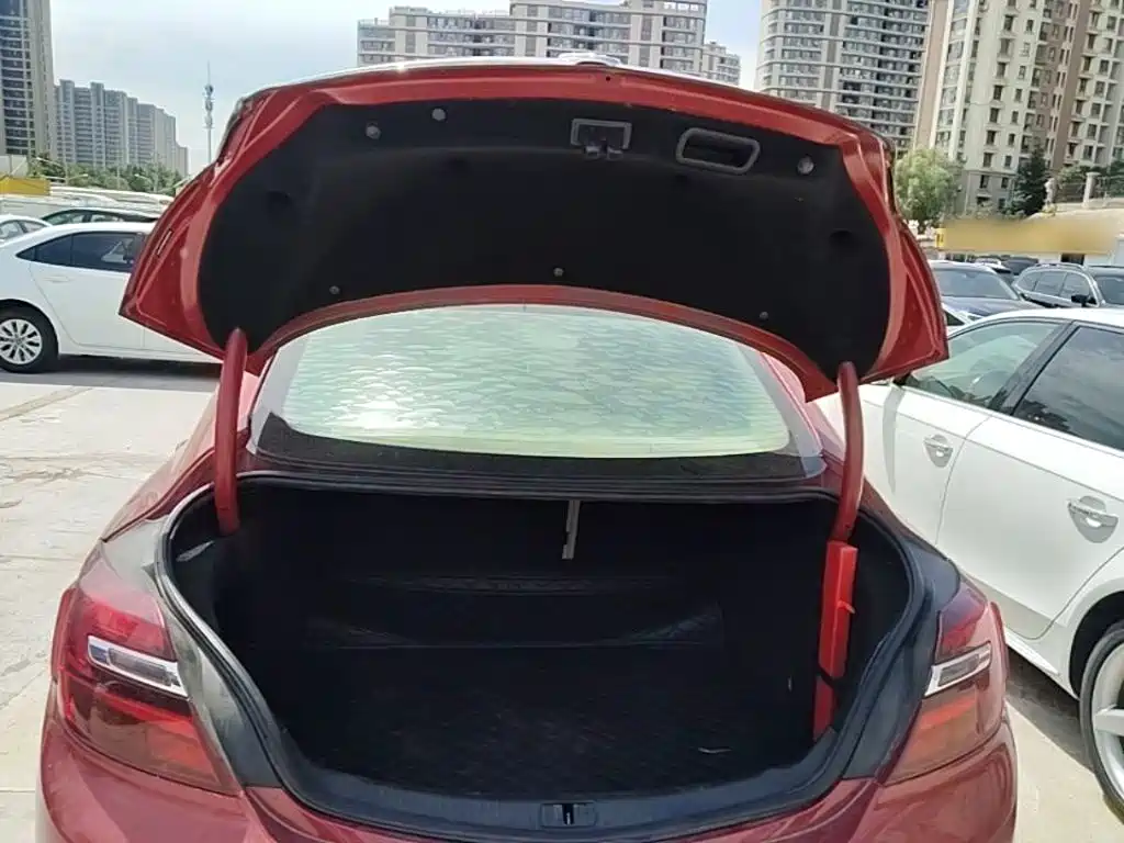 Buick Regal — миниатюра 19
