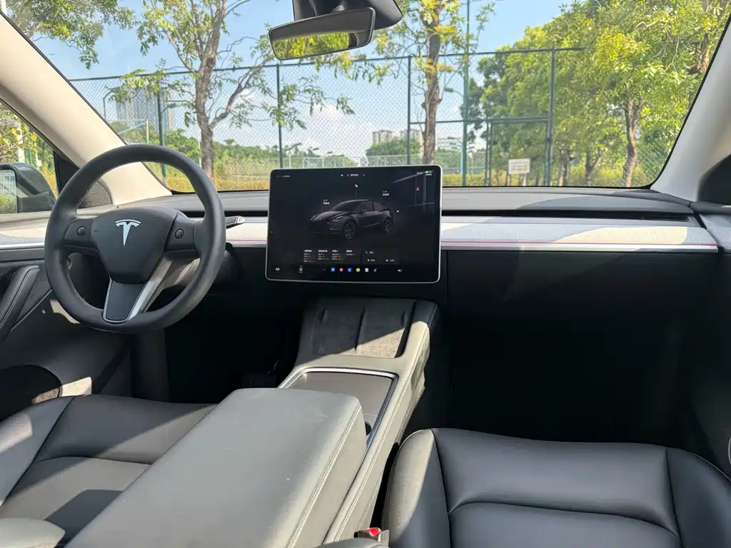 Tesla Model Y — миниатюра 6