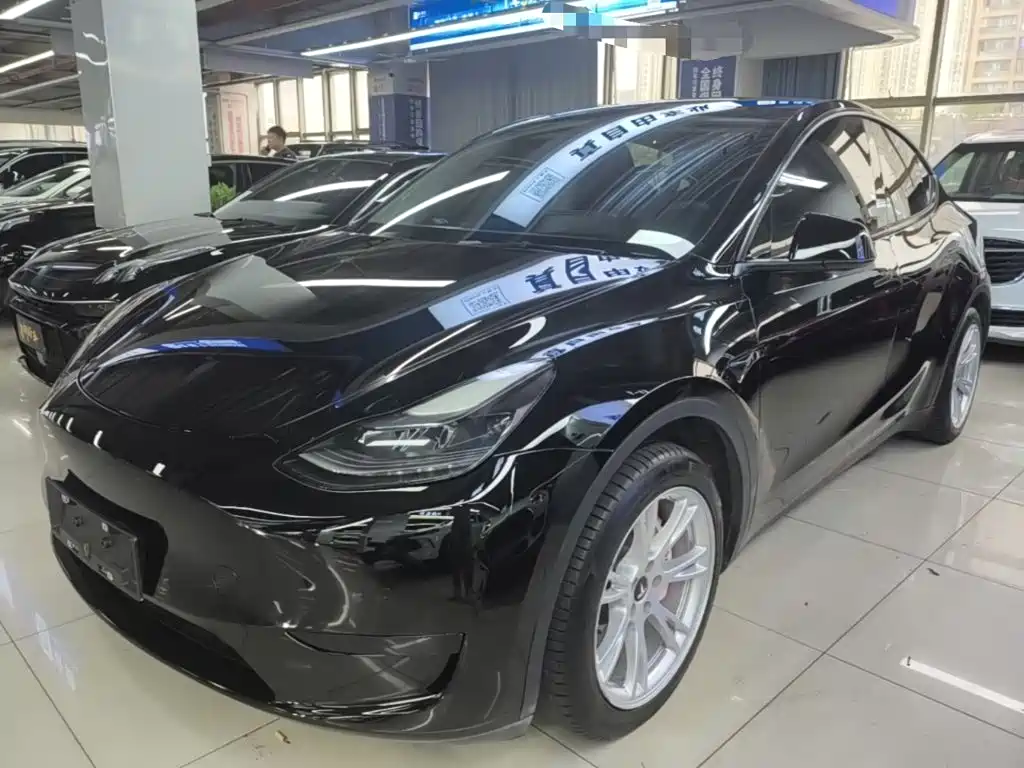 Tesla Model Y — миниатюра 2