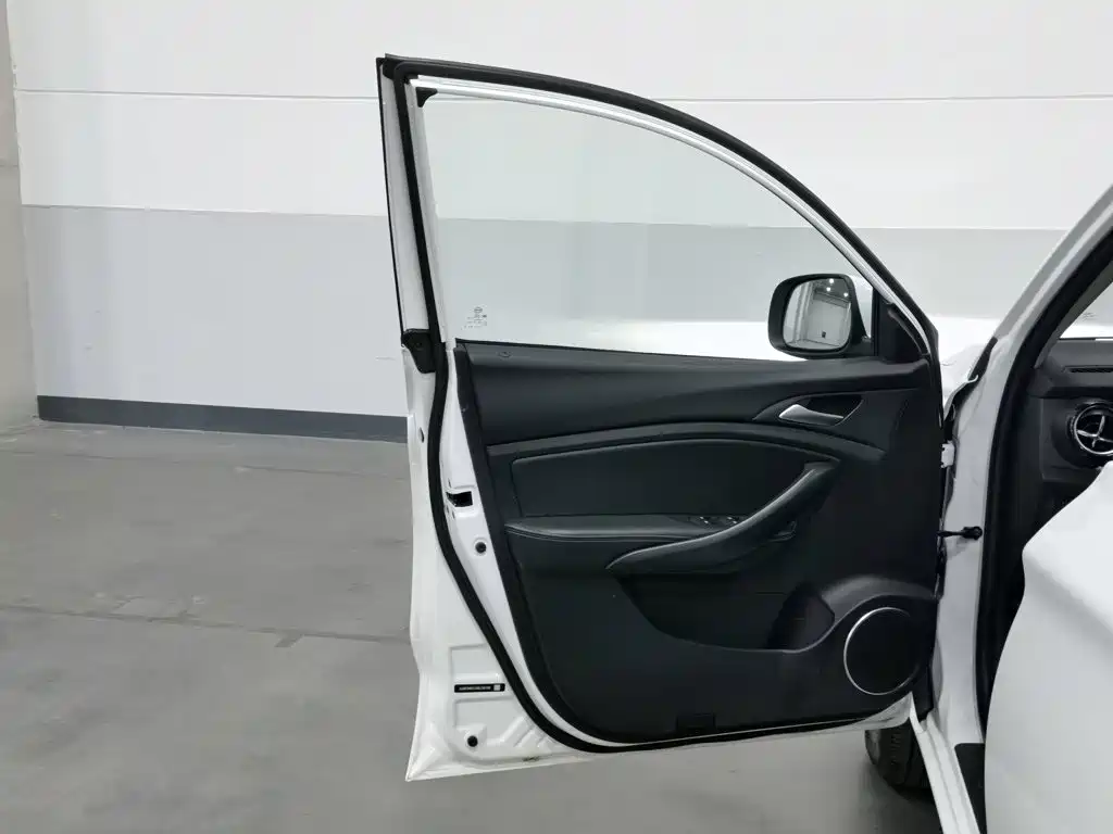 BYD Song — миниатюра 8