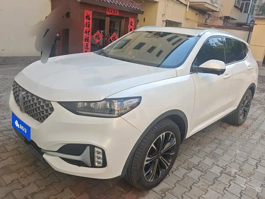 Wey Wey VV6