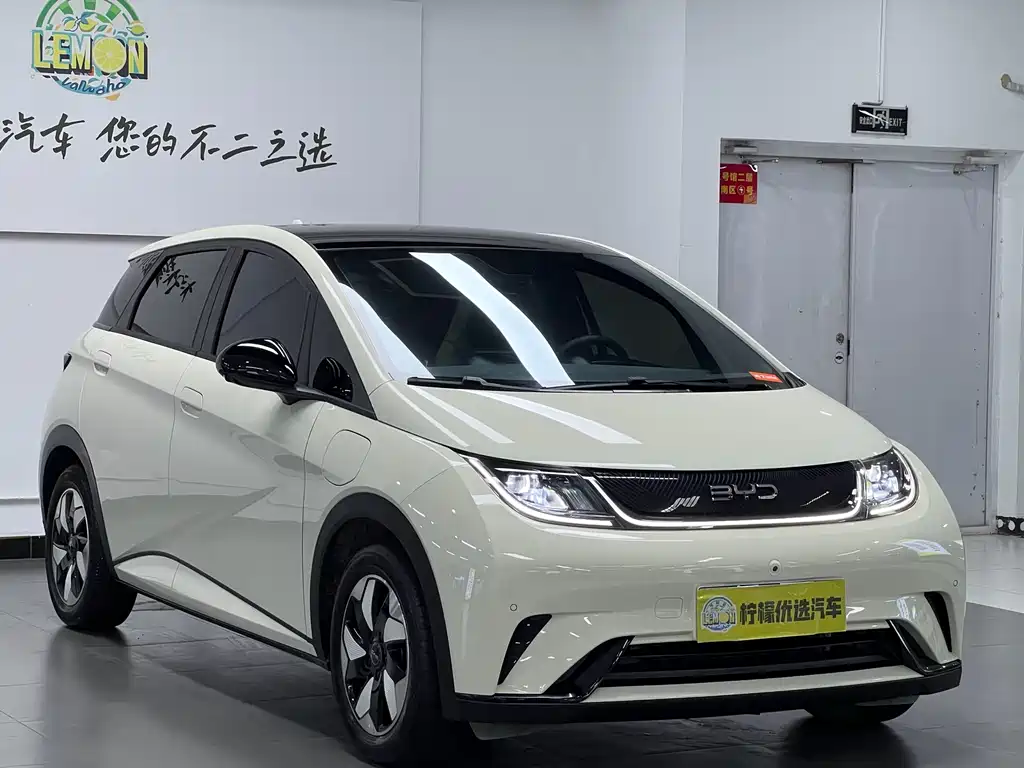 BYD Dolphin — миниатюра 4