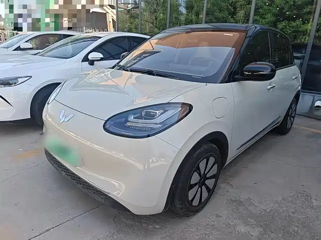 2025 Wuling Motors Binguo