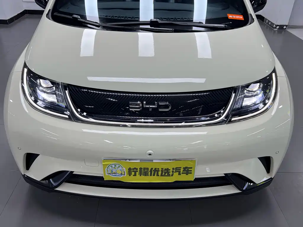 BYD Dolphin — миниатюра 8