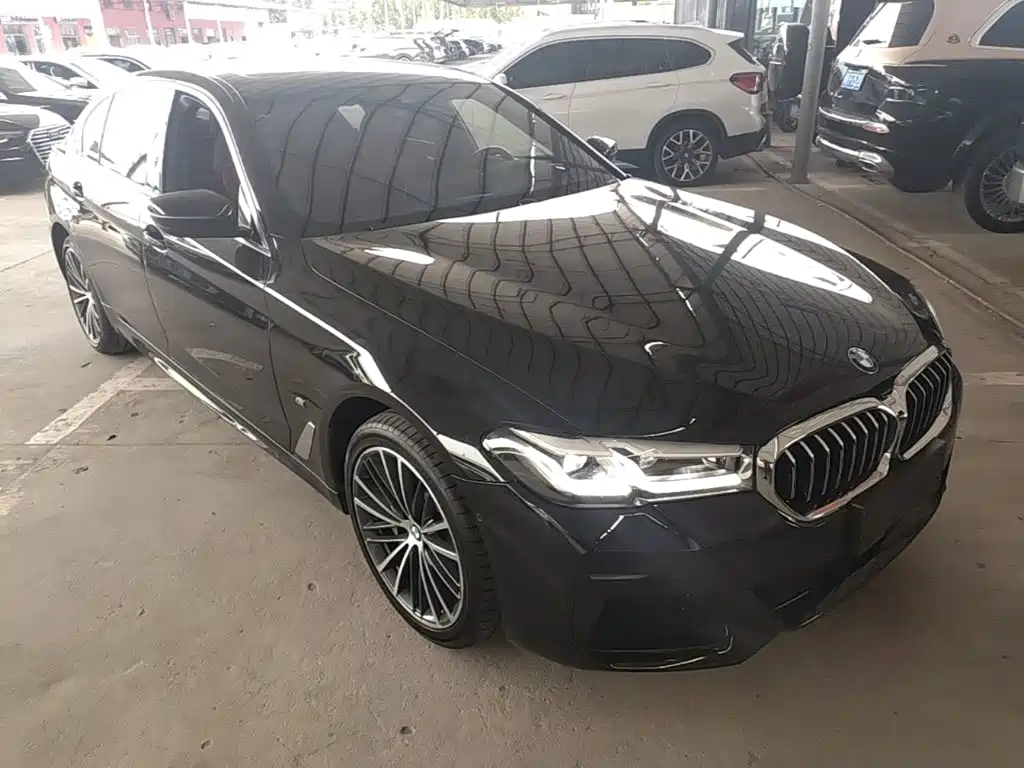 BMW 5 Series — миниатюра 4