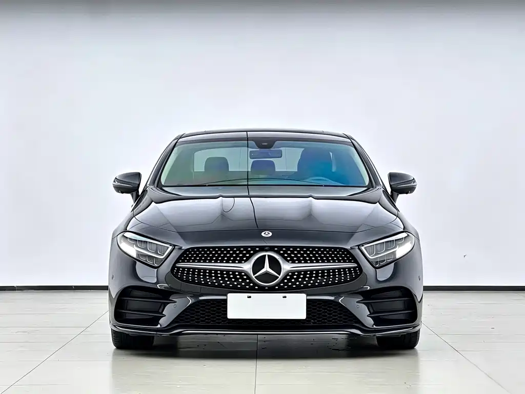 Mercedes-Benz CLS CLS 300 Dynamic Type, фото 2
