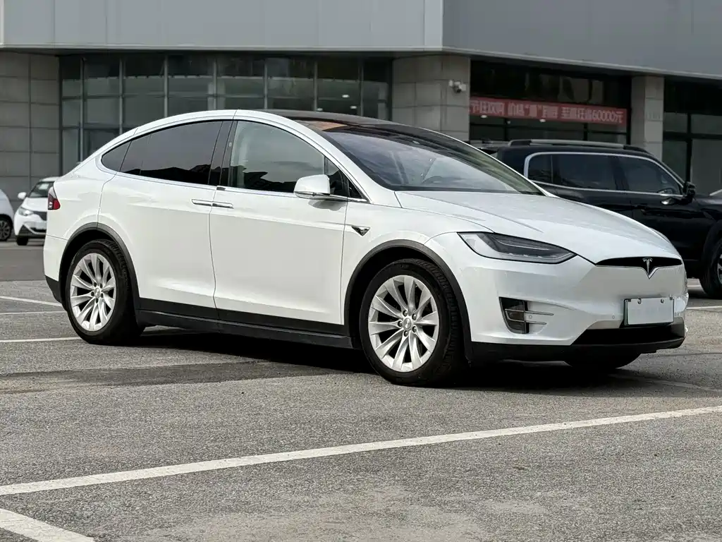 Tesla Model X — миниатюра 3