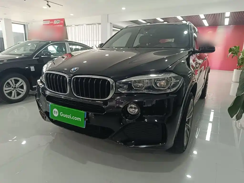 BMW X5 (Import) — миниатюра 2