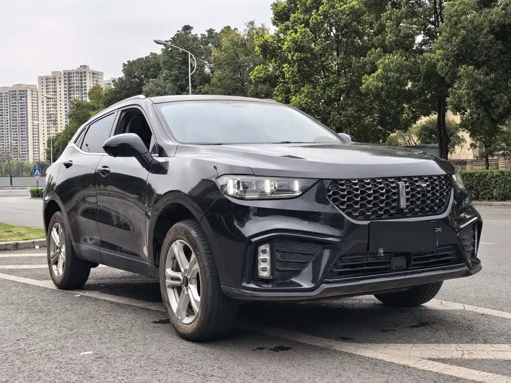 WEI PAI WEI BRAND VV5