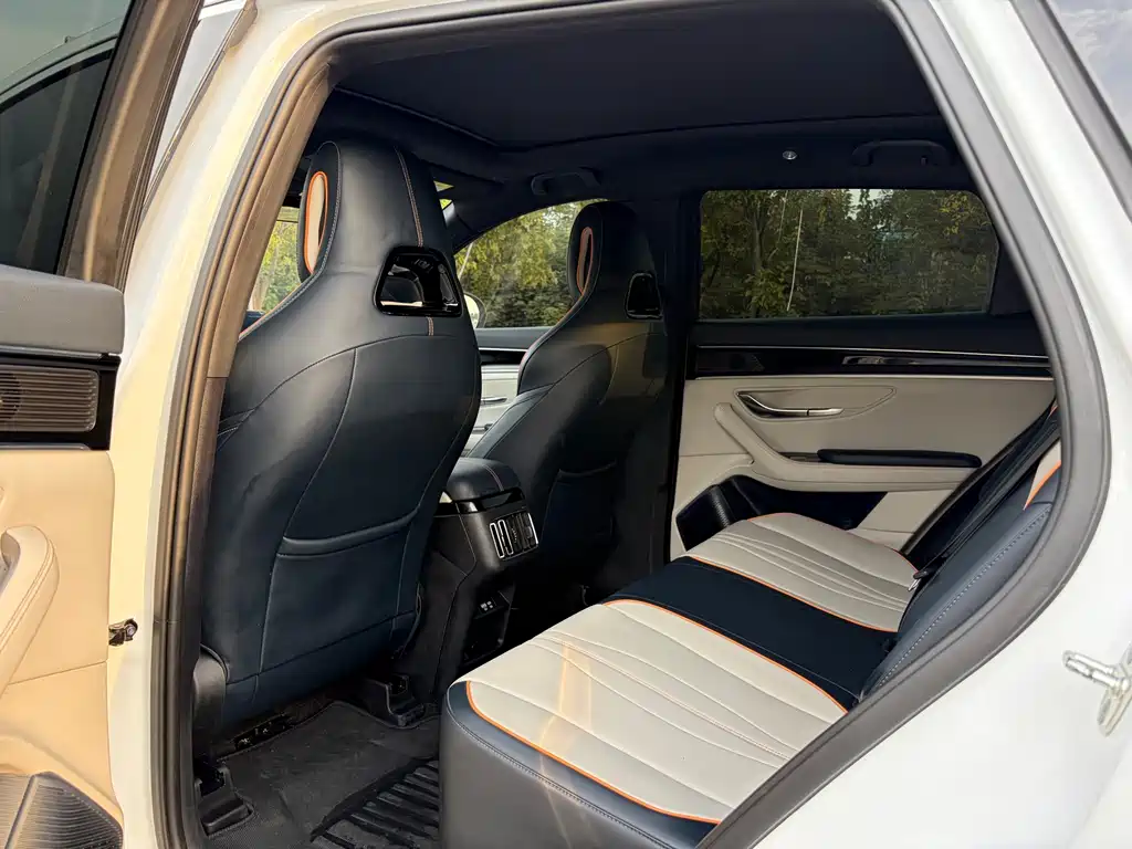BYD PLUS New Energy — миниатюра 12