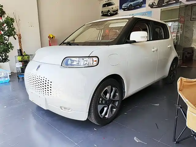 2021 Ora R2/White Cat