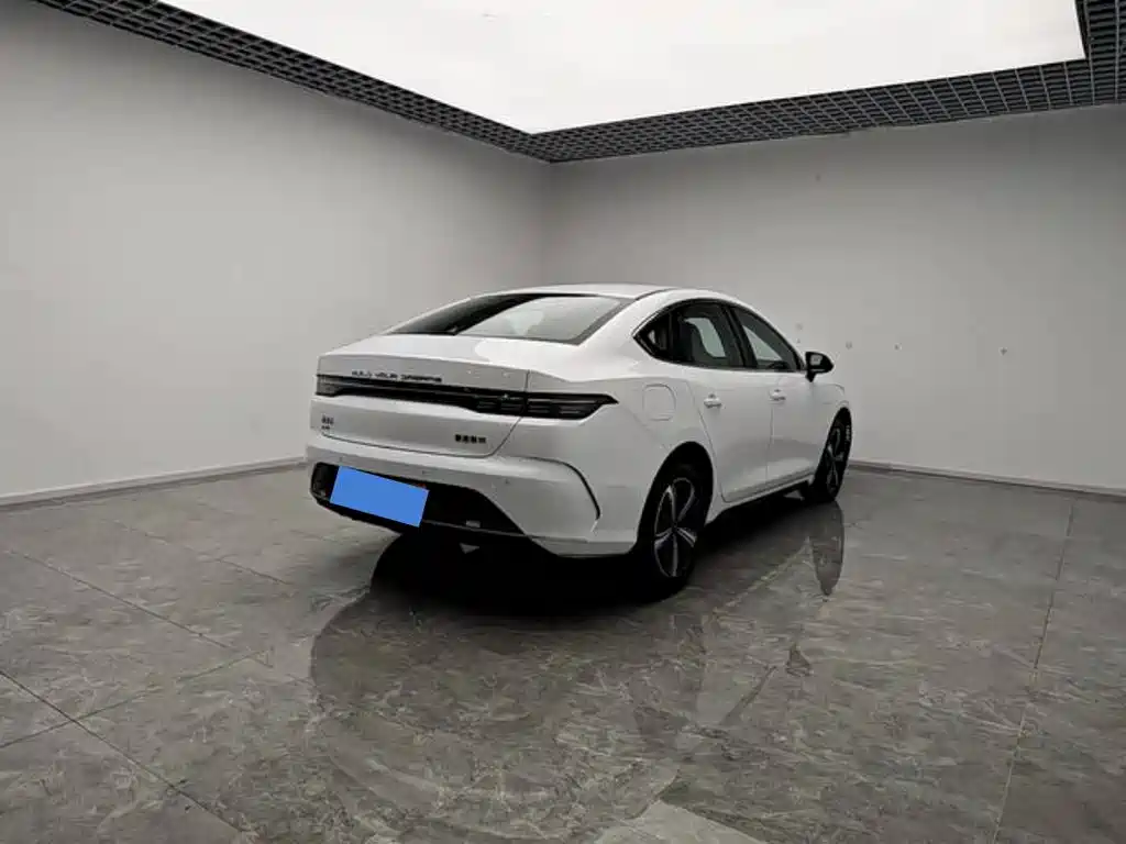 BYD Destroyer 05 — миниатюра 8