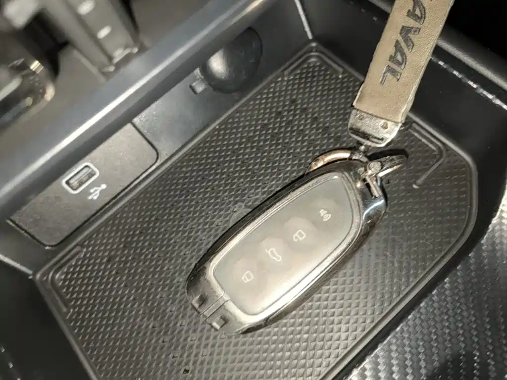 Haval Big Dog PLUS New Energy — миниатюра 9