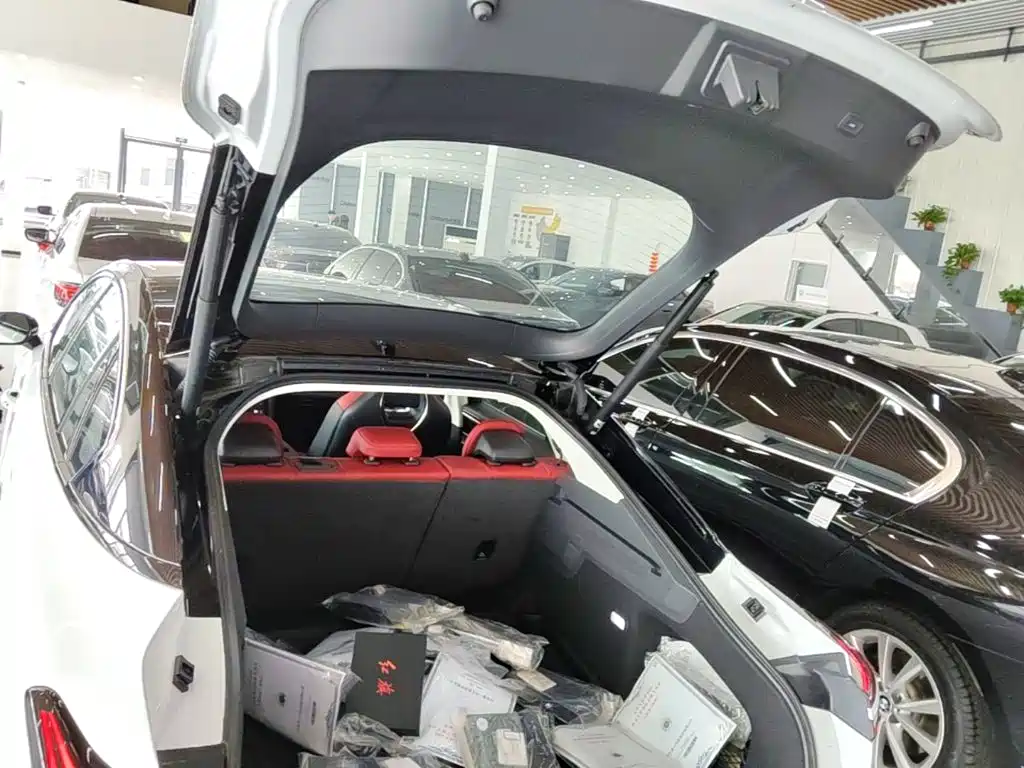 Hongqi Hongqi H6 — миниатюра 19