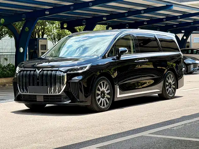 2025 Voyah Dream