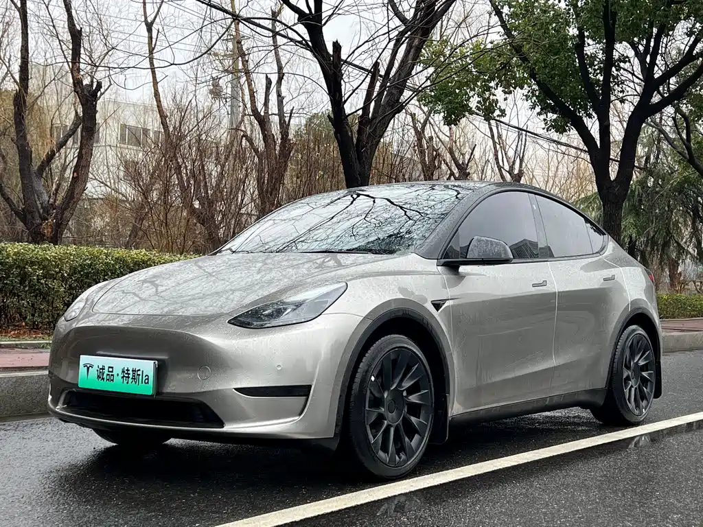 TESLA MODEL Y