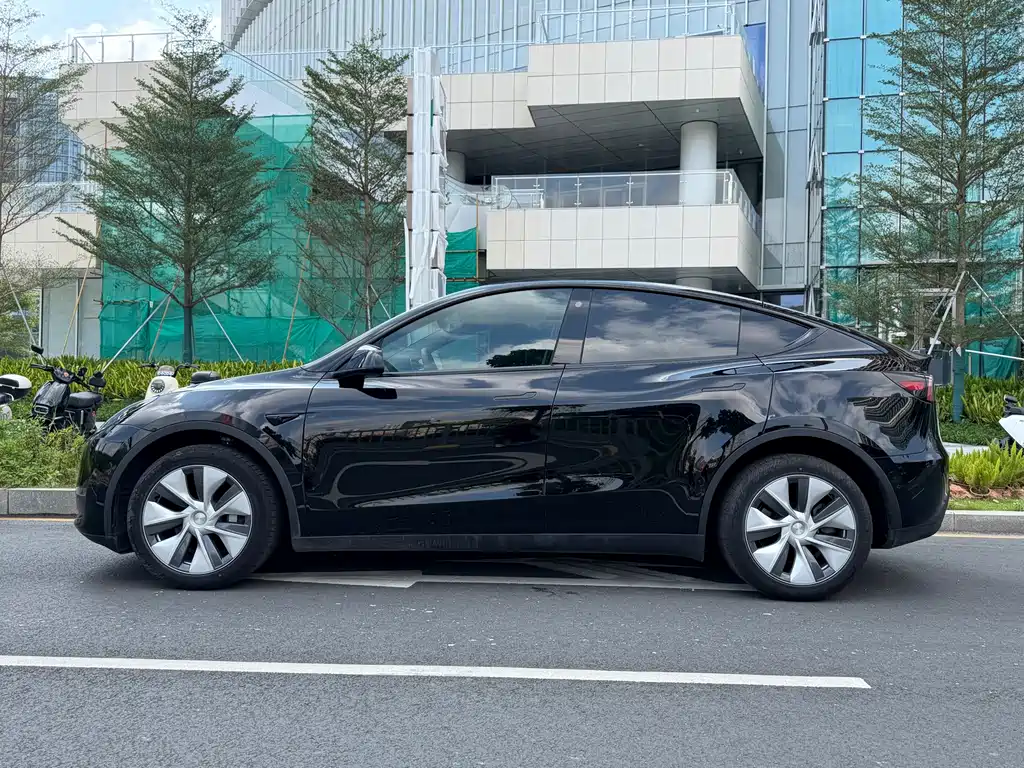 Tesla Model Y — миниатюра 3