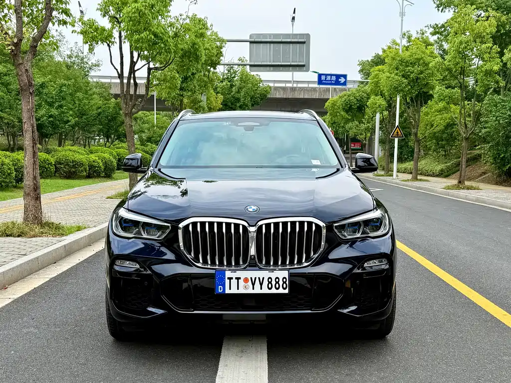 BMW X5 (Import) — миниатюра 2