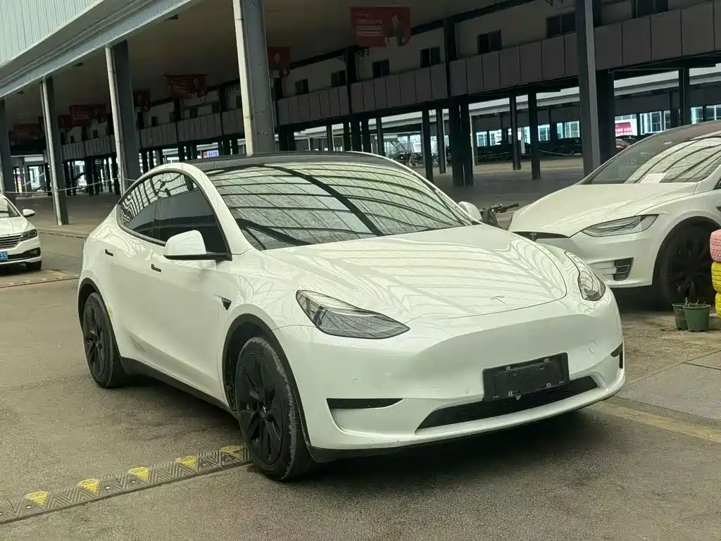 Tesla Model Y — миниатюра 3